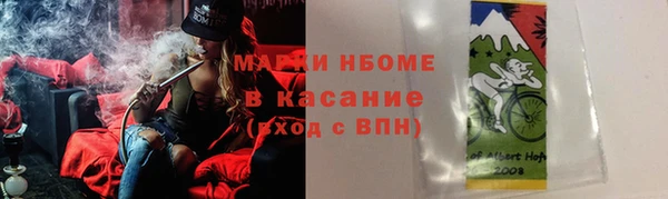 стаф Волосово