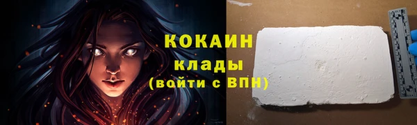 стаф Волосово